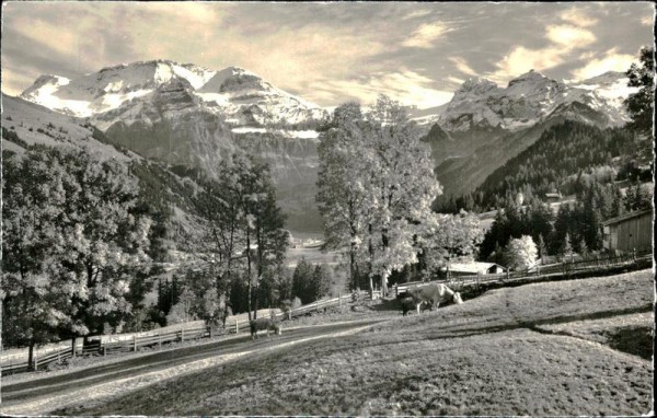 Lenk Vorderseite