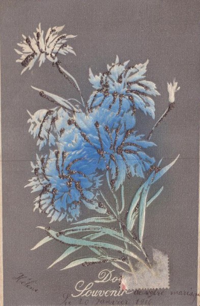 Blaue Blumen Vorderseite