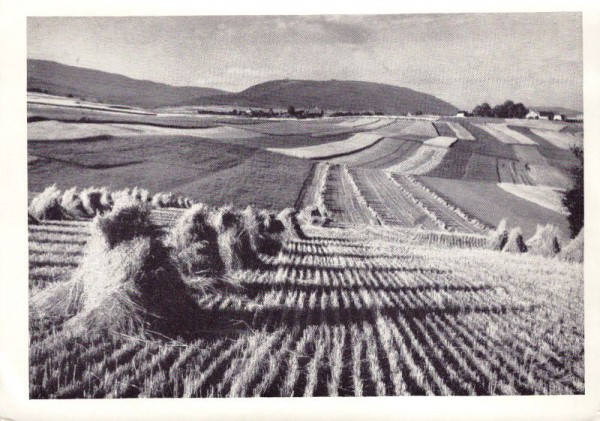 Sur le plateau de Lignières et le Mont-Sujet