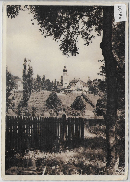 Schloss Heerbrugg