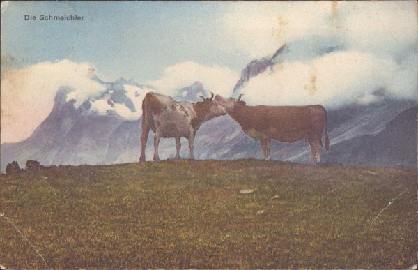 Die Schmeichler