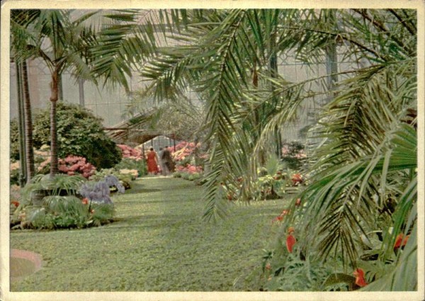 Partie aus dem Wintergarten des schwäbischen Tier-und Pflanzenparadieses"Wilhelma" in Stuttgart-Bad Cannstatt Vorderseite