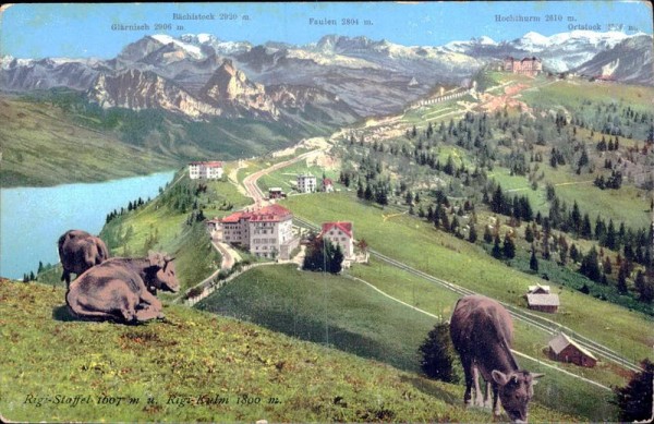 Rigi-Staffel (1607 m) - Rigi-Kulm (1800 m) Vorderseite