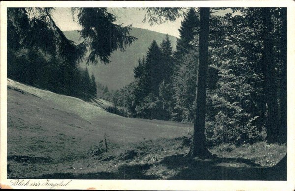 Blick ins Horgental Vorderseite