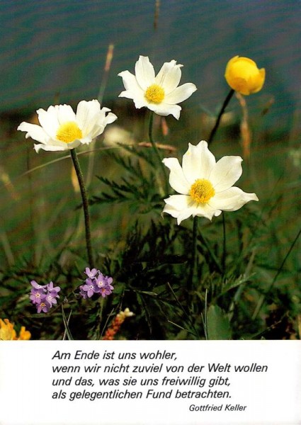 Wörthsee Vorderseite