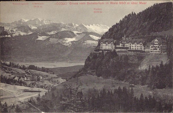 Sanatorium in Wald