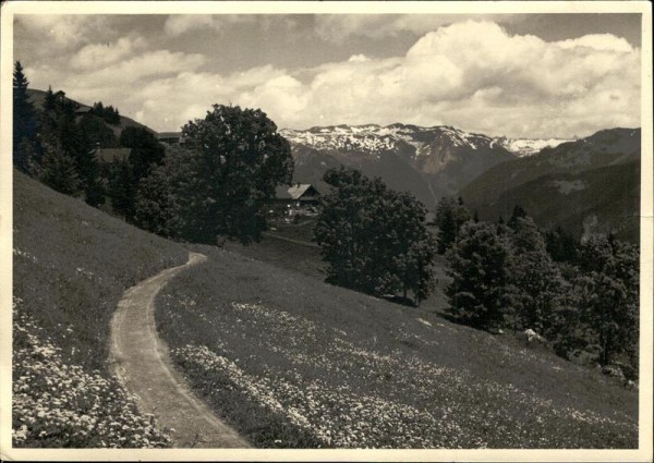 Braunwald Vorderseite