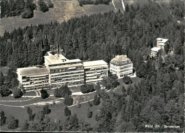 Wald ZH Vorderseite