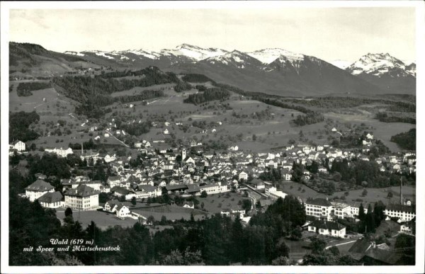 Wald mit Speer und Mürtenstock Vorderseite