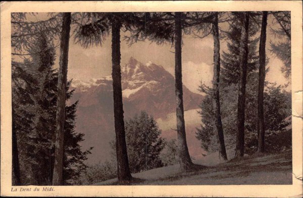 La Dent du Midi, C.A.S. Réunion des Sections romandes 1924 Vorderseite