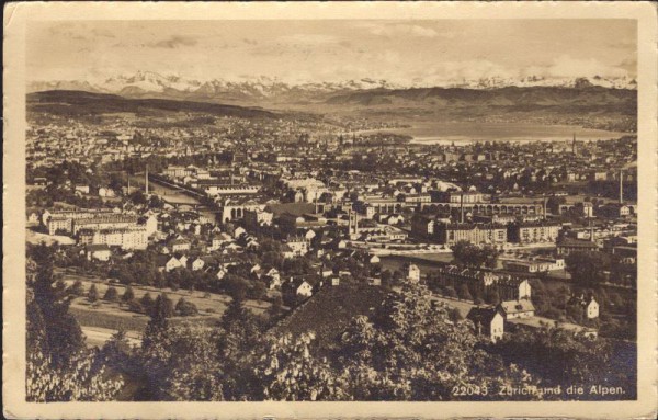 Zürich und die Alpen