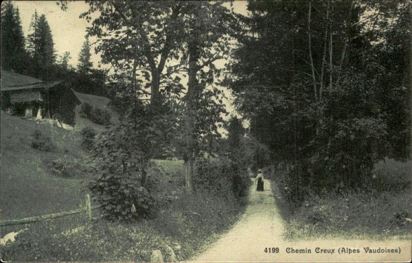 Chemin Creux (Alpes Vaudoises) Vorderseite