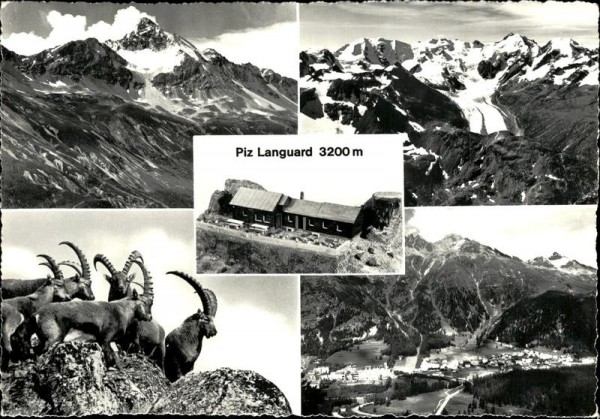Piz Languard (3200 m) Vorderseite