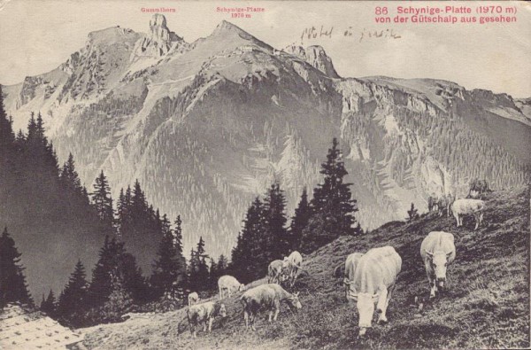 Schynige-Platte (1970m) von der Gütschalp aus gesehen