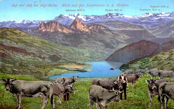 Rigi-Kulm, Auf der Alp Vorderseite