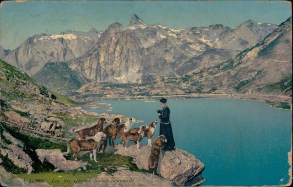 Grosser St. Bernhard Vorderseite