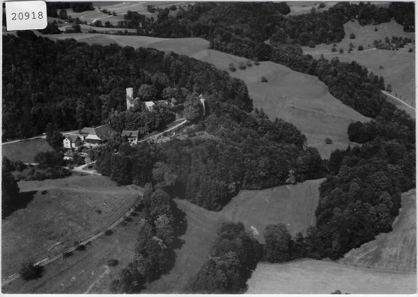 Flugaufnahme Schloss Bipp BE
