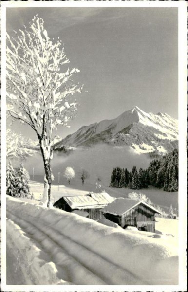 Leysin Vorderseite