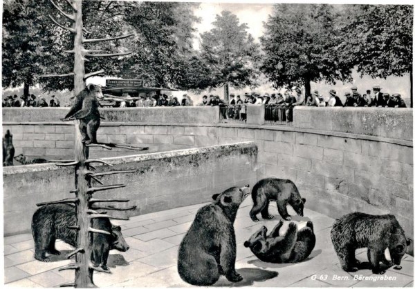 Berne, La fosse aux ours Vorderseite