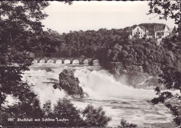 Rheinfall mit Schloss Laufen