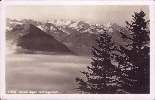 Berner Alpen vom Rigi aus