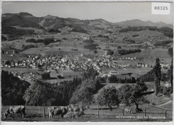 Bütschwil - Generalansicht - Toggenburg - Kühe vaches cows