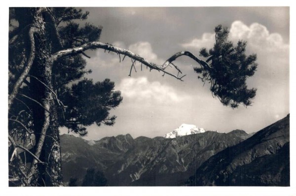 Blick vom Süsom Givé, Ofenpasshöhe auf den Ortler Vorderseite