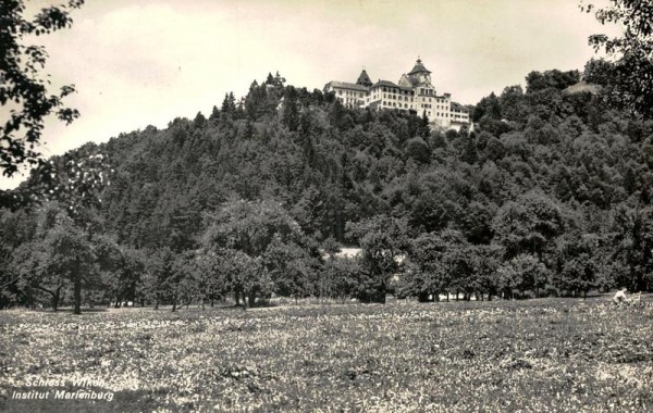 Schloss Wikon, Institut Meienberg Vorderseite