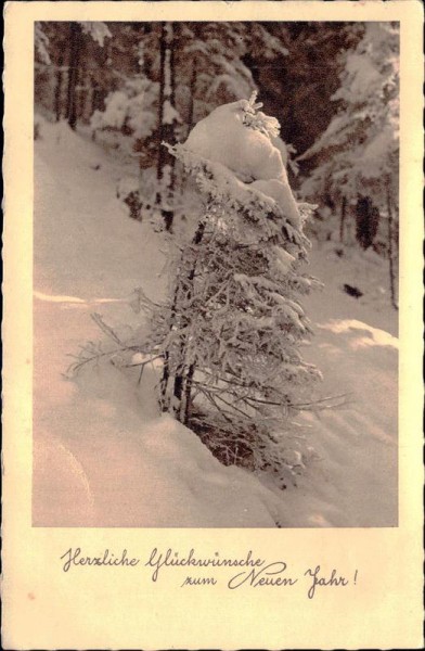 Neujahrsgrüsse Vorderseite