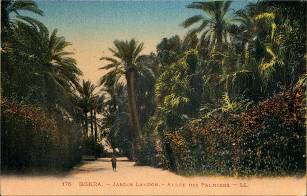 Biskra, Jardin Landon, Allée des Palmiers Vorderseite