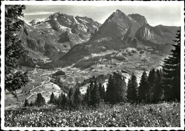 Obertoggenburg Vorderseite