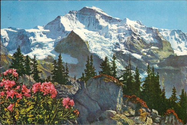 Die Jungfrau