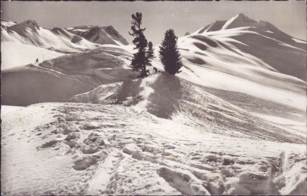 Parsenn - Abfahrt nach Küblis