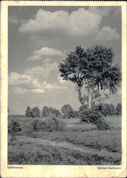 Spätsomme, Herbert Bachmann Vorderseite