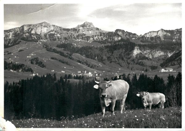 Brülisau mit Kamor und Hoher Kasten Vorderseite