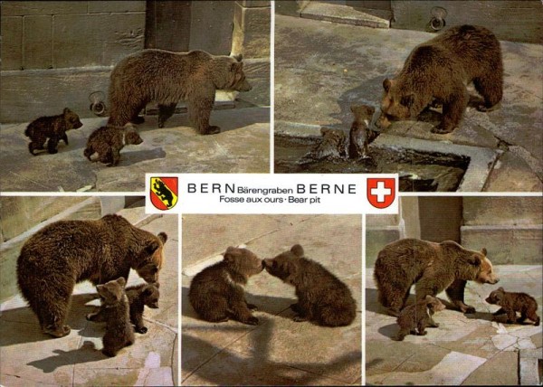 Bern/Bärengraben Vorderseite