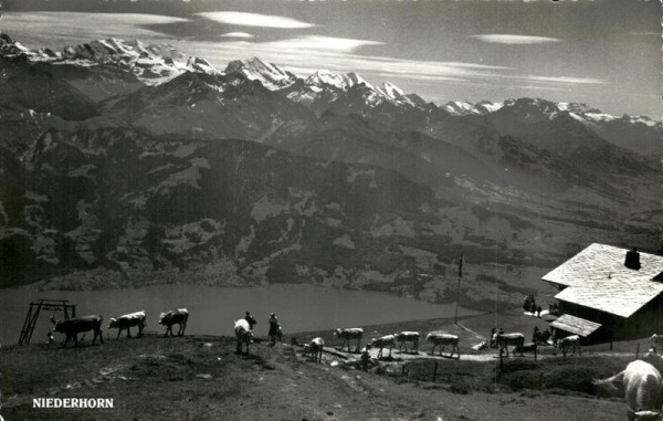 Niederhorn - Beatenberg Vorderseite