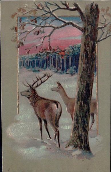 Wild Vorderseite