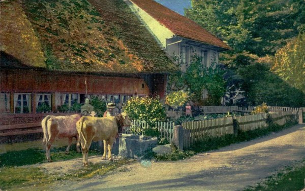 Heimatbilder, Aargauer Bauernhäuser Vorderseite