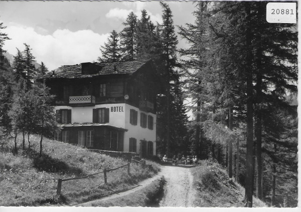 Waldhotel Ober-Rothwald am Simplon