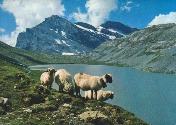 Daubensee am Gemmipass. Leukerbad-Kandersteg. Daubenhorn Vorderseite