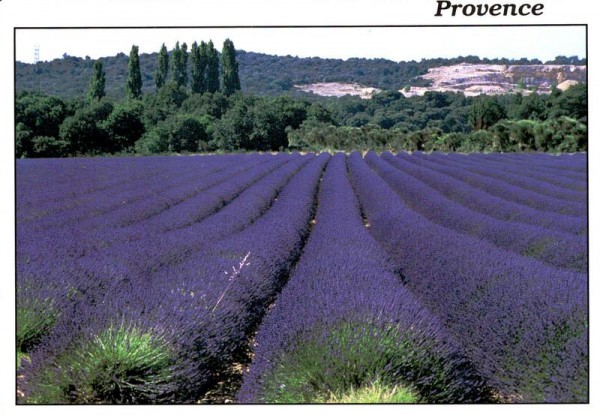 Provence Vorderseite