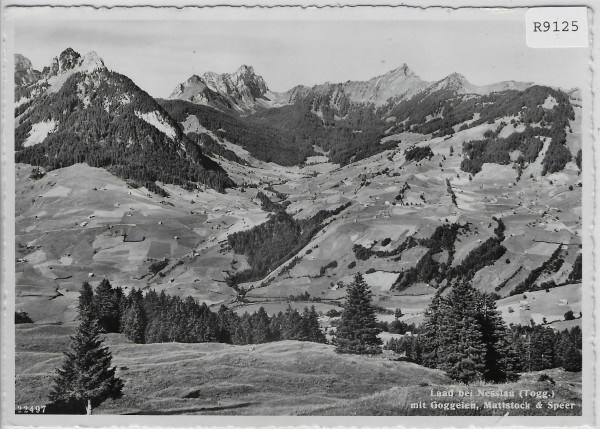 Laad bei Nesslau mit Goggeien, Mattstock & Speer