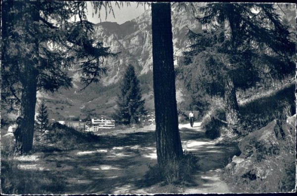 Der Waldweg bei Leukerbad Vorderseite