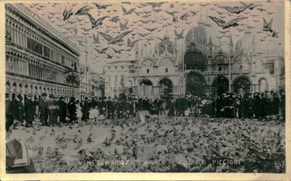 Venezia Piazza Marco,Volato Piccioni Vorderseite