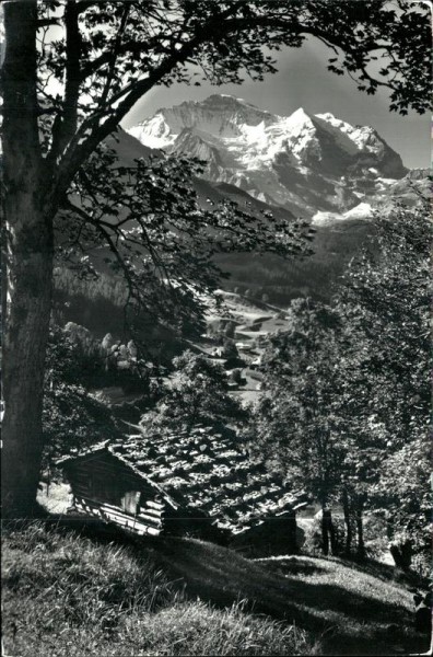 Wengen Vorderseite