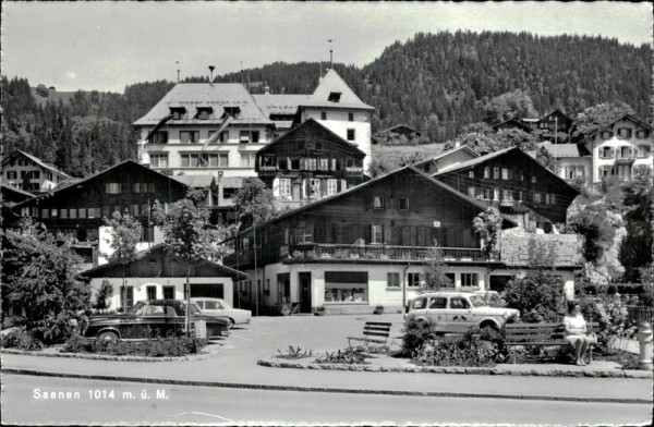 Saanen Vorderseite