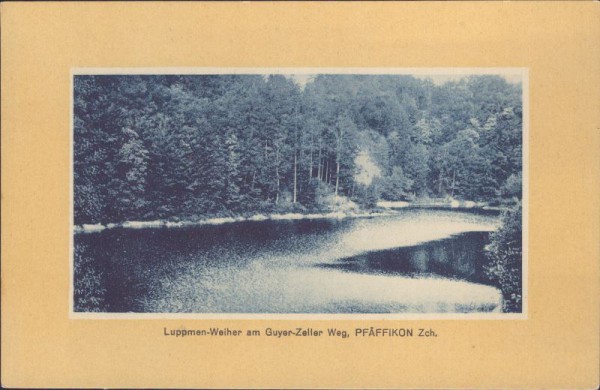 Luppmen - Weiher am Guyer - Zeller Weg, Pfäffikon