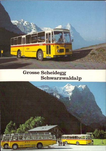 Grosse Scheidegg, Schwarzwaldalp