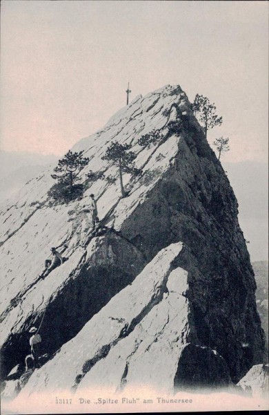 Die Spitze Fluh am Thunersee Vorderseite